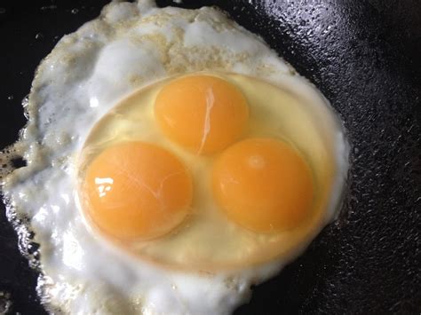3 yolk egg.